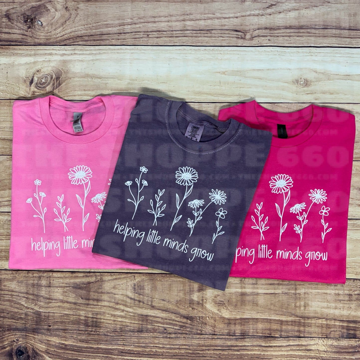 HELPING LITTLE MINDS GROW