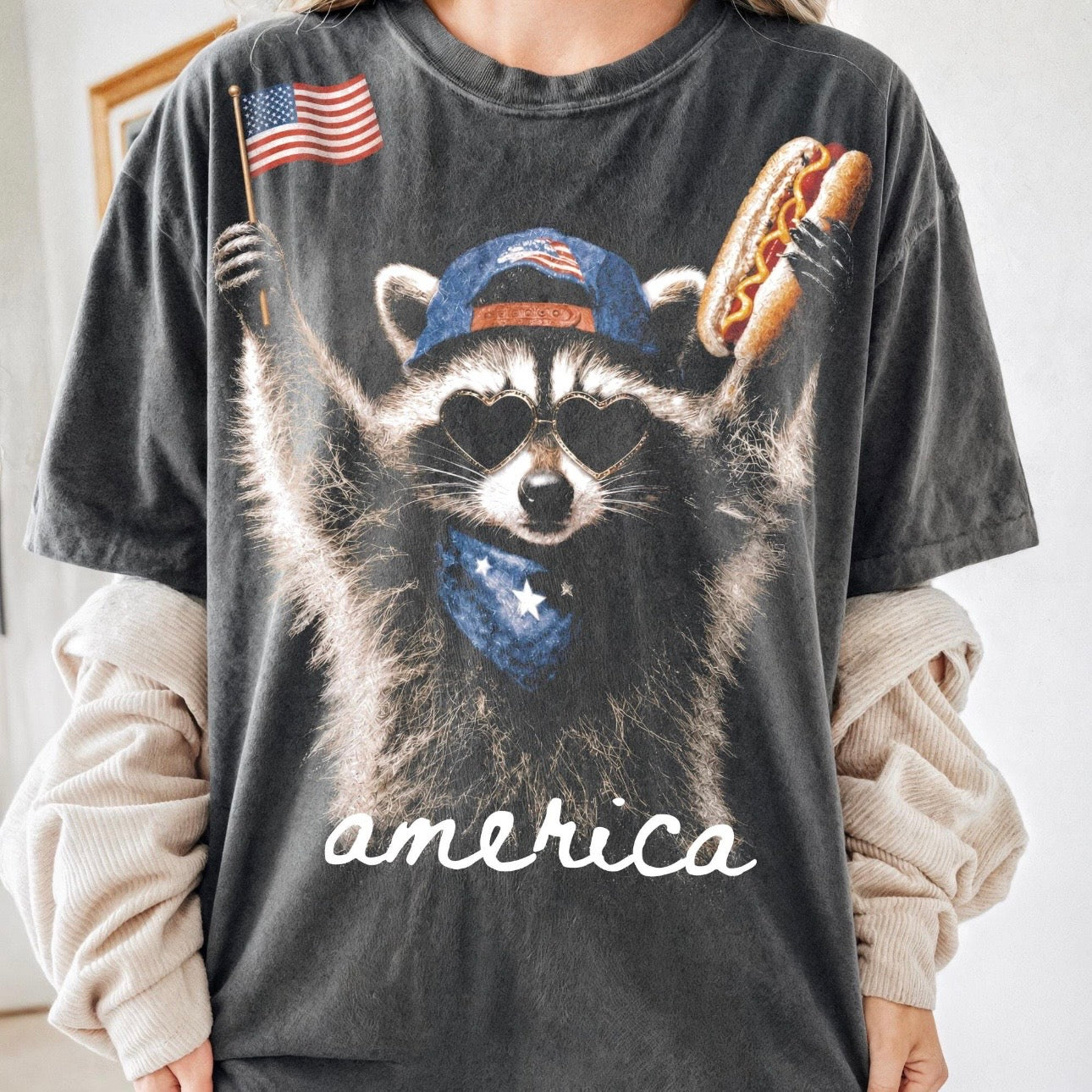AMERICA RACCOON (SHOPPE SCORE)