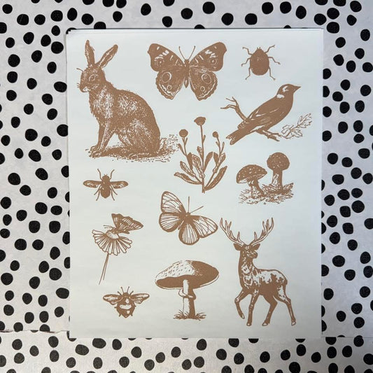 COTTAGE CORE COLLAGE